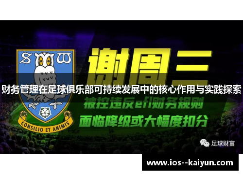 财务管理在足球俱乐部可持续发展中的核心作用与实践探索 财务管理在足球俱乐部可持续发展中的核心作用与实践探索