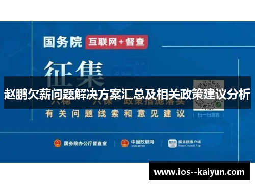 赵鹏欠薪问题解决方案汇总及相关政策建议分析