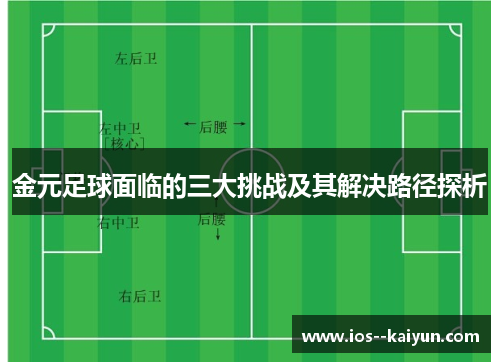 金元足球面临的三大挑战及其解决路径探析 金元足球面临的三大挑战及其解决路径探析