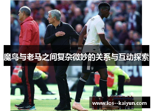 魔鸟与老马之间复杂微妙的关系与互动探索